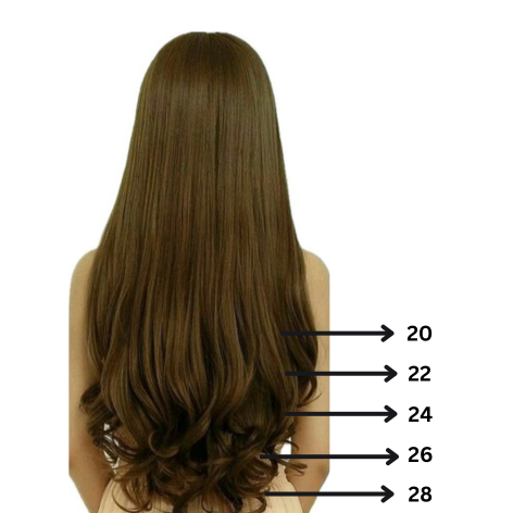 مشبك في الشعر